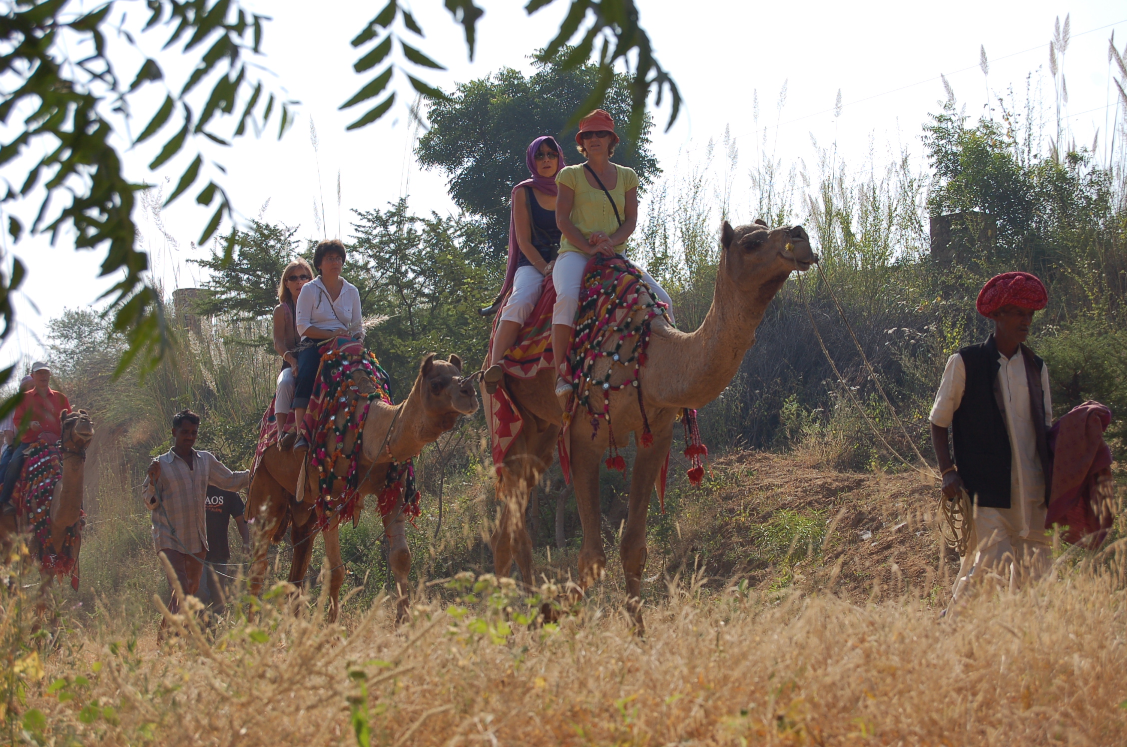 Image from Farm Lunch - Samode